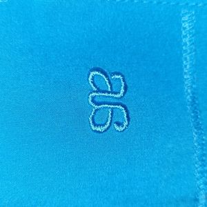 Albion Fit Cobalt Destination Joggers